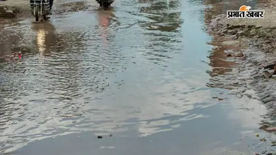 सीवान में मानसून की जोरदार वापसी, जुलाई के 20 दिनों में 317 मिमी बारिश; धान की रोपनी को मिली रफ्तार