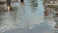 सीवान में मानसून की जोरदार वापसी, जुलाई के 20 दिनों में 317 मिमी बारिश; धान की रोपनी को मिली रफ्तार