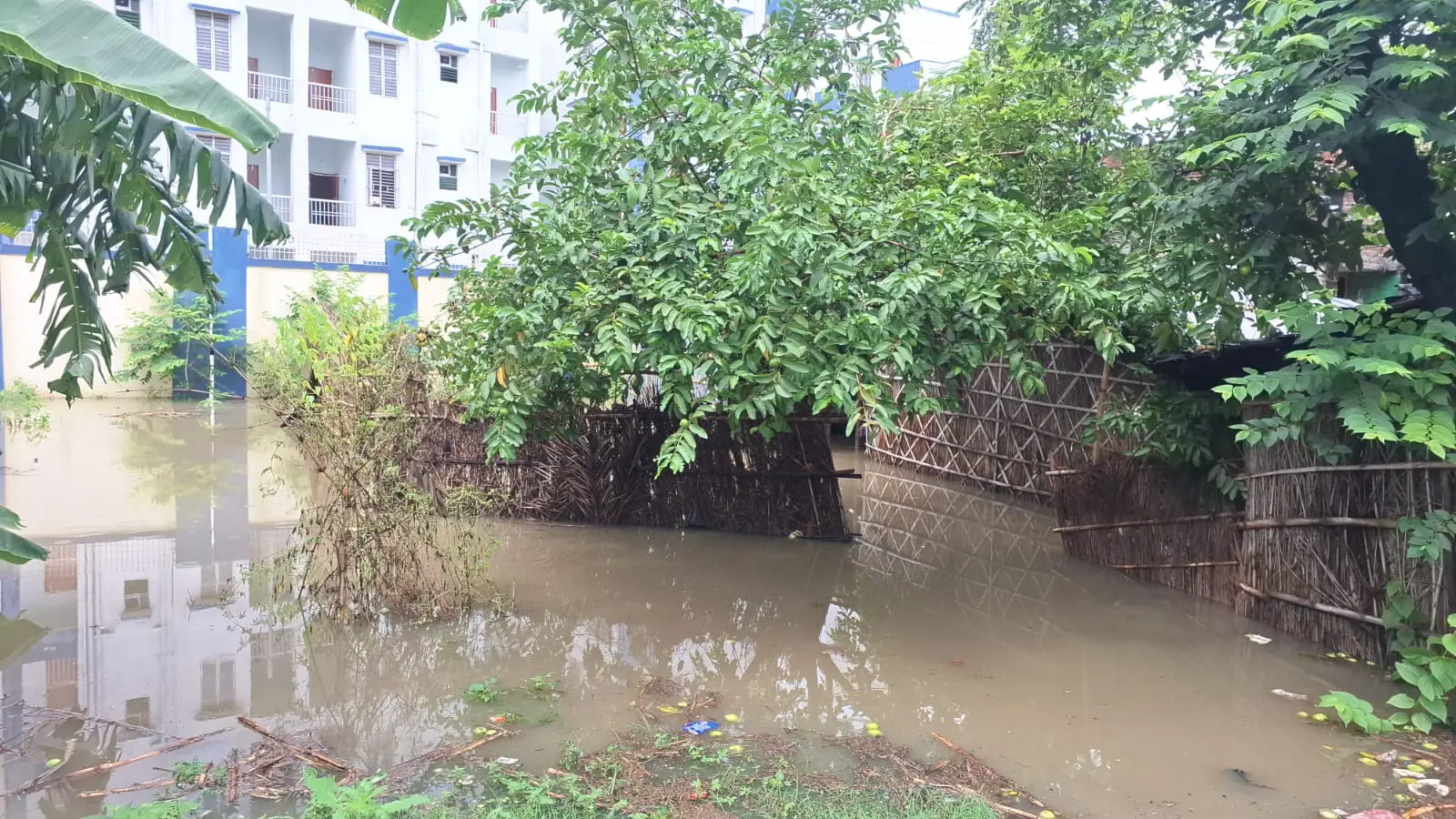1 बखरी में बारिश के जमा पानी में चौकी पर बैठे बच्चें 2 घर के आगे दरवाजे पर लगी पानी | Prabhat Khabar Network 1 बखरी में बारिश के जमा पानी में चौकी पर बैठे बच्चें 2 घर के आगे दरवाजे पर लगी पानी | Prabhat Khabar Network