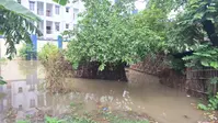 बेगूसराय: बखरी में मूसलाधार बारिश से जनजीवन अस्त-व्यस्त, सिमरी के पासवान टोला में घरों में घुसा पानी