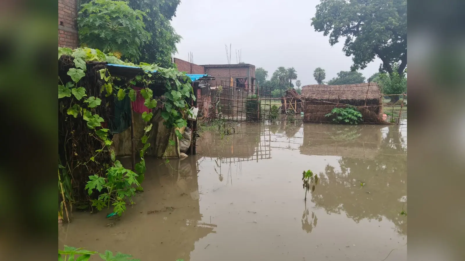 फोटो :डेहरी महादलित बस्ती में बारिश के बाद घरों के आसपास जमा पानी से परेशान ग्रामीण. | Prabhat Khabar Network फोटो :डेहरी महादलित बस्ती में बारिश के बाद घरों के आसपास जमा पानी से परेशान ग्रामीण. | Prabhat Khabar Network