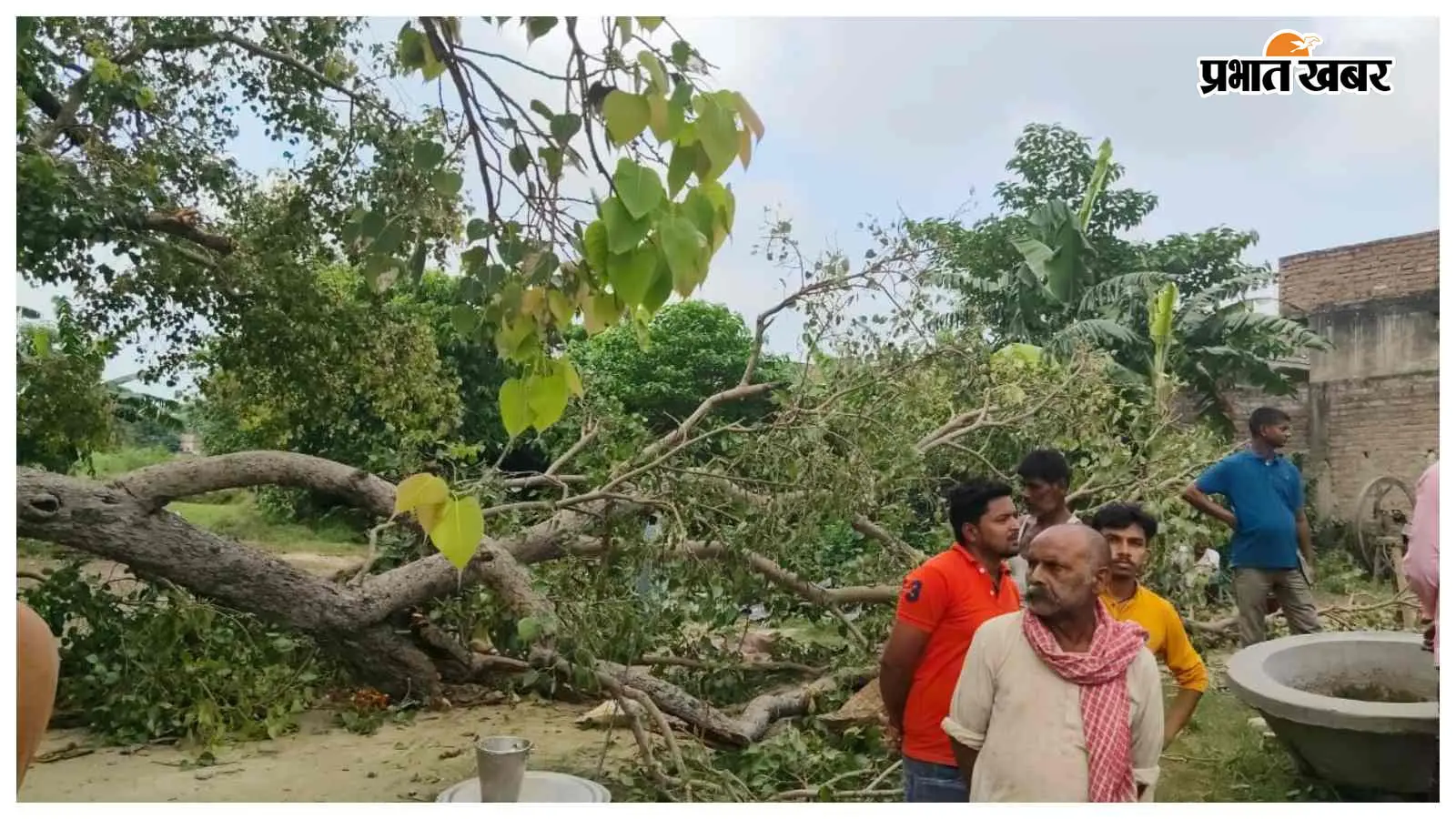 मुजफ्फरपुर: पूजा में पेड़ की डाल गिरी, 2 बच्चों की मौत मुजफ्फरपुर: पूजा में पेड़ की डाल गिरी, 2 बच्चों की मौत