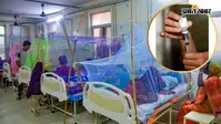 Dengue vaccine: भारत में डेंगू के पहले वैक्सीन QDENGA को मंजूरी, जानिए किसे लगेगा, कैसे करेगा बचाव