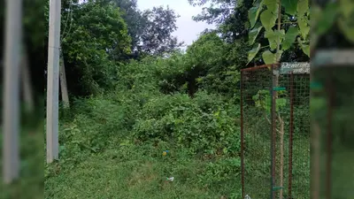 23 साल पहले हुआ था शिलान्यास, आज तक नहीं बना नंदलाल बसु कला शोध संस्थान