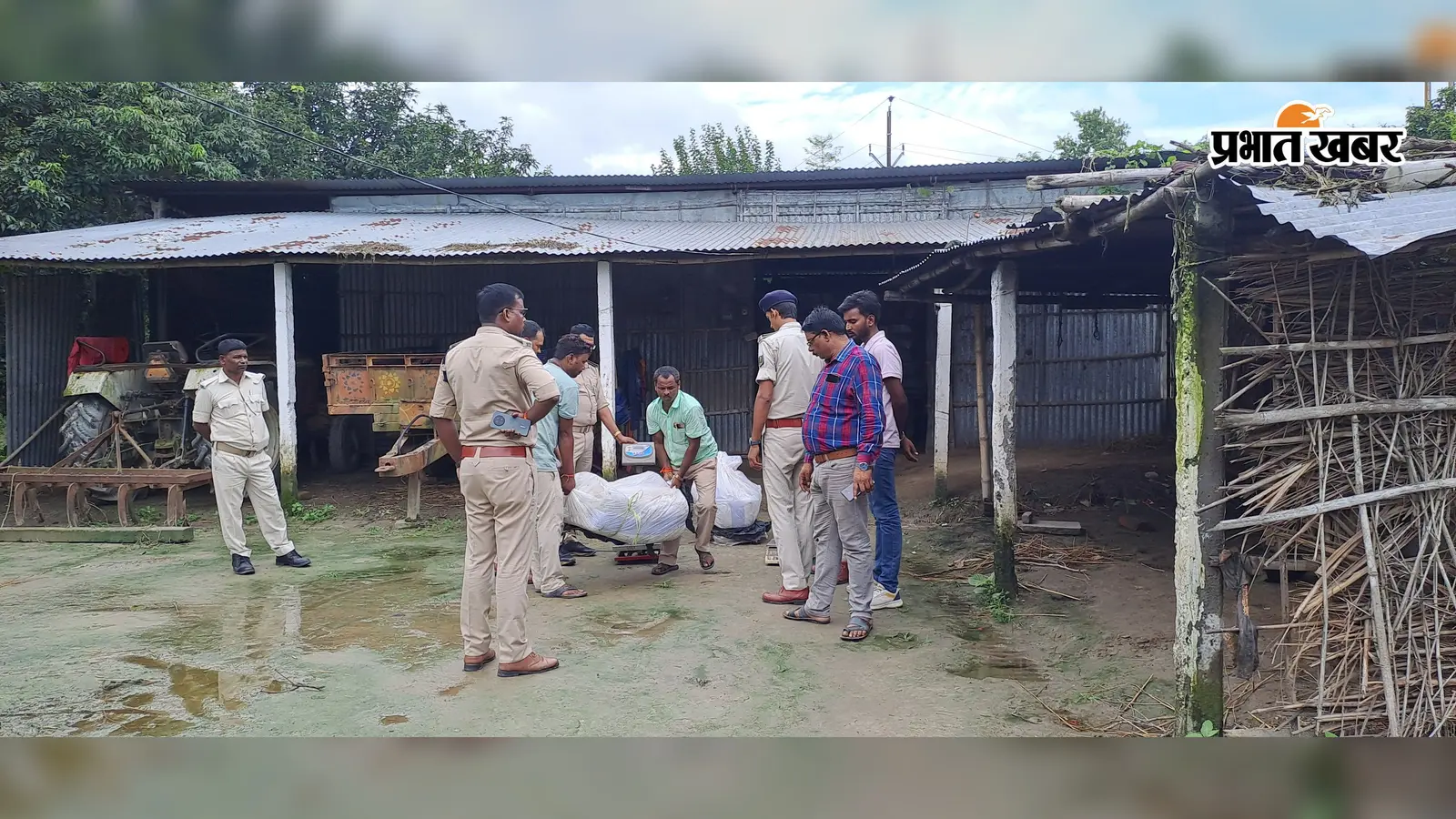 बरामद गांजा व नगर थाना पुलिस. बरामद गांजा व नगर थाना पुलिस.