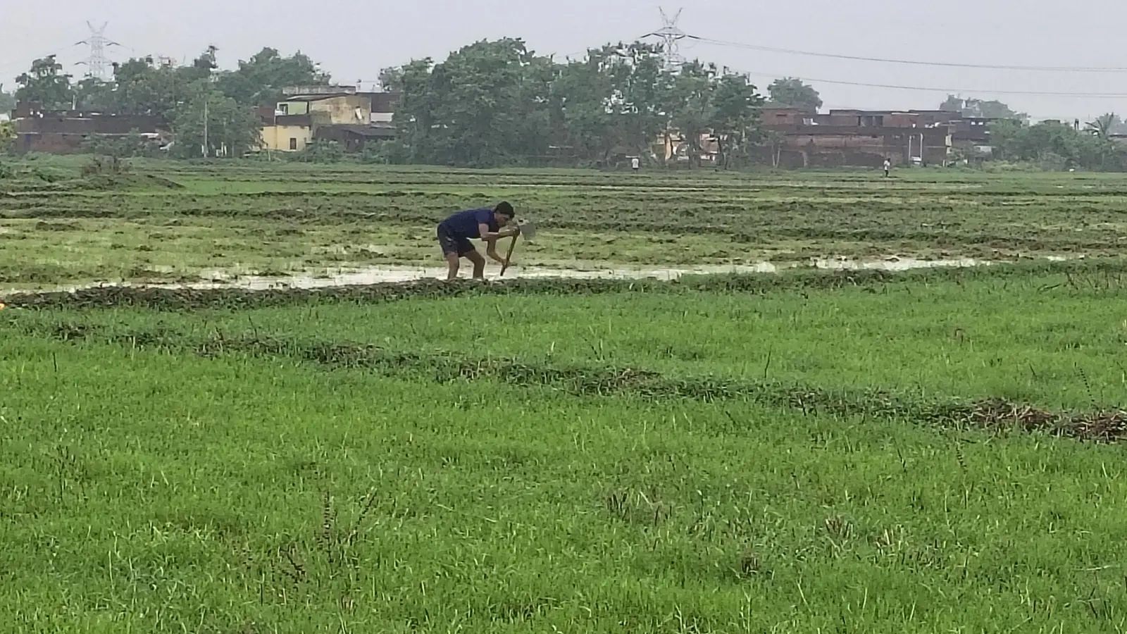 बारिश के इंतजार में धान की नर्सरी और रोपाई करते किसान | Prabhat Khabar Network बारिश के इंतजार में धान की नर्सरी और रोपाई करते किसान | Prabhat Khabar Network