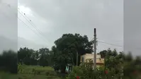 लखीसराय में दिनभर छाए रहेंगे बादल, गरज के साथ बारिश के आसार, किसानों के लिए मौसम विभाग की सलाह