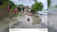 कोसी का जलस्तर 2.41 लाख क्यूसेक पार, तटबंध के भीतर कई गांवों में घुसा बाढ़ का पानी