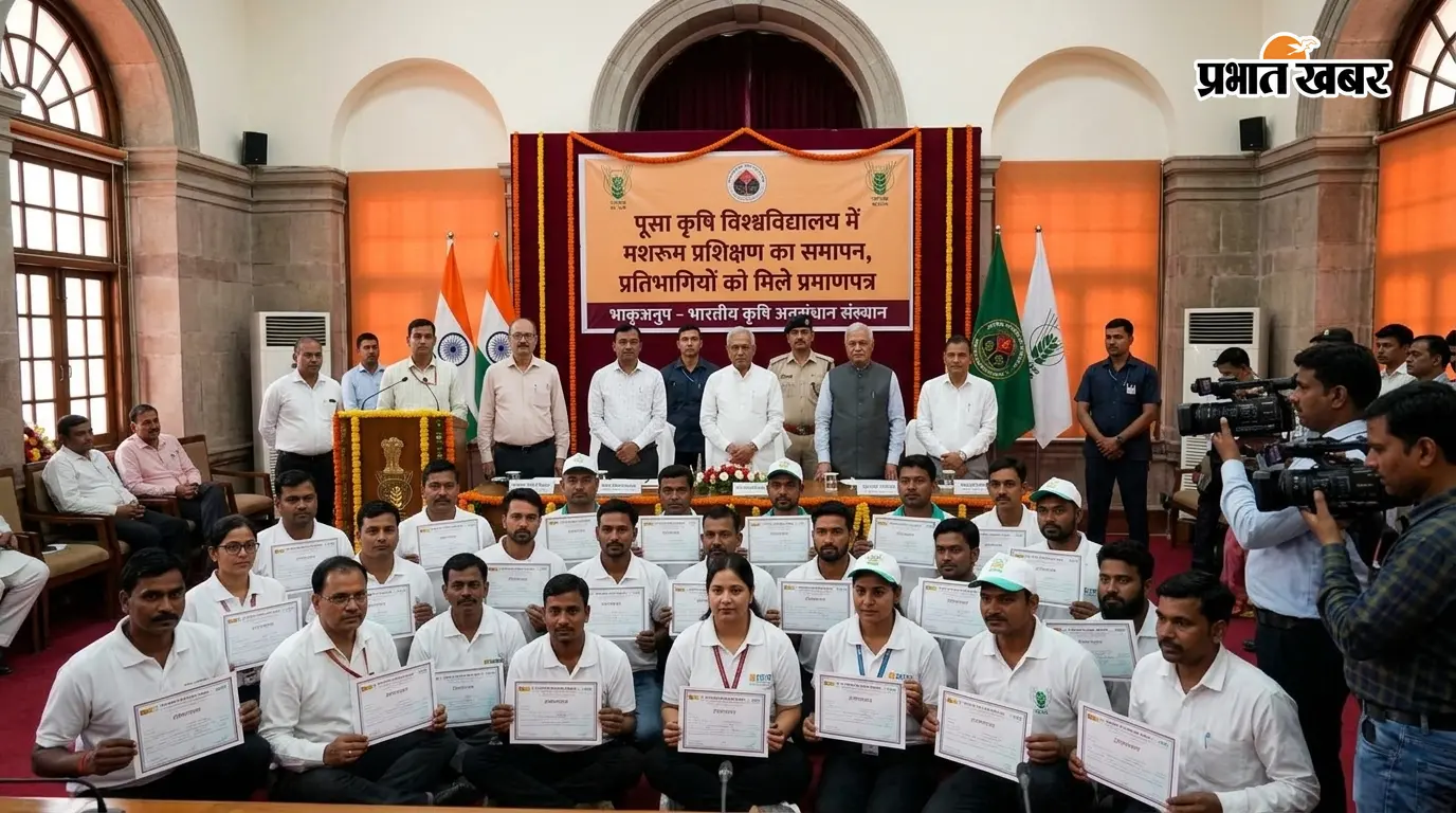 मशरूम उत्पादन: स्वरोजगार व ब्रांडिंग पर जोर मशरूम उत्पादन: स्वरोजगार व ब्रांडिंग पर जोर