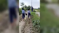 सारण के रंगलाल गांव में विकास की राह कीचड़ में दबी, घुटने भर पानी से होकर स्कूल जाने को मजबूर बच्चे