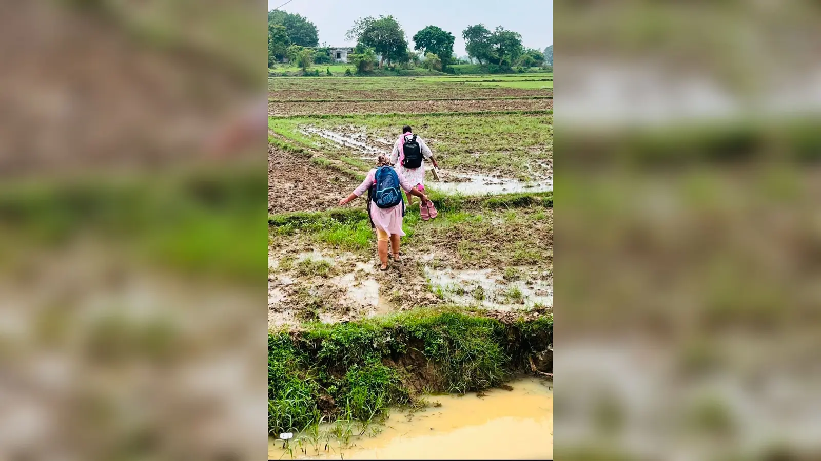 फोटो कैप्शन-1: कीचड़ और पानी से भरे रास्ते में हाथ में चप्पल-जूते लेकर विद्यालय जाते छात्र-छात्राएं। फोटो कैप्शन-2: पुराने भवन के सीमित कक्षा-कक्ष में पढ़ाई करते छात्र-छात्राएं फोटो कैप्शन-3: सिसिरित गांव स्थित श्री अनुग्रह नारायण उच्च विद्यालय का बनकर तैयार नया भवन, विभागीय हैंडओवर के इंतजार में बंद पड़ा | Prabhat Khabar Network फोटो कैप्शन-1: कीचड़ और पानी से भरे रास्ते में हाथ में चप्पल-जूते लेकर विद्यालय जाते छात्र-छात्राएं। फोटो कैप्शन-2: पुराने भवन के सीमित कक्षा-कक्ष में पढ़ाई करते छात्र-छात्राएं फोटो कैप्शन-3: सिसिरित गांव स्थित श्री अनुग्रह नारायण उच्च विद्यालय का बनकर तैयार नया भवन, विभागीय हैंडओवर के इंतजार में बंद पड़ा | Prabhat Khabar Network