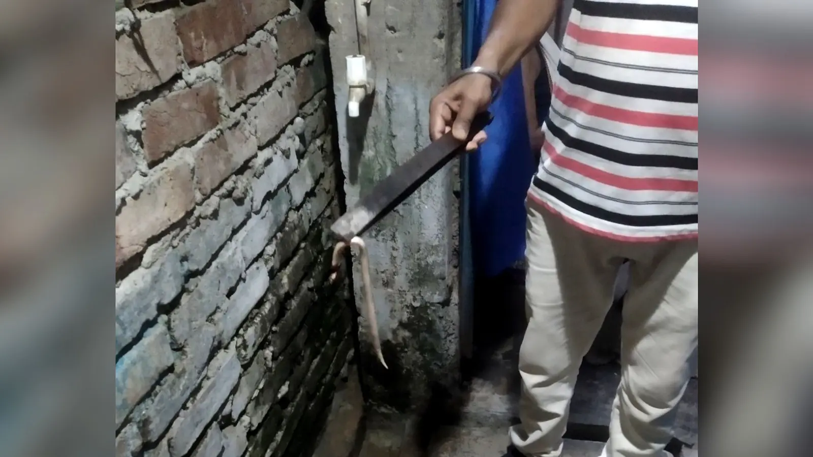 फ़ोटो कैप्शन-स्टेशन रोड के एक मकान में निकले साँप को दिखाते युवक | Prabhat Khabar Network फ़ोटो कैप्शन-स्टेशन रोड के एक मकान में निकले साँप को दिखाते युवक | Prabhat Khabar Network
