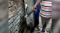 बरसात में बढ़ा सांपों का खतरा: एक सप्ताह में 15 सर्पदंश के मरीज पहुंचे सदर अस्पताल, वन विभाग की रेस्क्यू टीम अलर्ट