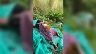 जयनगर के निर्माणाधीन प्लांट परिसर से महिला का शव बरामद, सनसनी