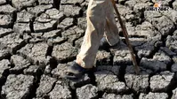 मध्य प्रदेश में बारिश पर ब्रेक! 14% कम बरसे बादल, बादलों की बेरुखी से कई इलाकों में सूखे का संकट
