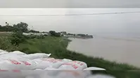 नवगछिया में गंगा और कोसी नदी के जलस्तर में उफान जारी: 24 घंटे में गंगा 14 सेमी और कोसी 17 सेमी चढ़ी