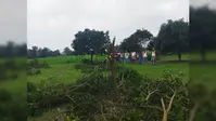 Bettiah News: आपसी विवाद में काट दिए आधा दर्जन से अधिक आम के पेड़, नौतन थाने में शिकायत