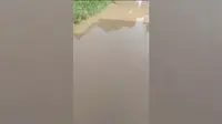 चकमथुरा गांव की सड़क बनी तालाब, जलजमाव से ग्रामीण बेहाल, नाला निर्माण की उठी मांग