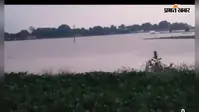 लगातार बारिश से कांव नदी उफान पर, सैकड़ों बीघे में लगी धान की फसल जलमग्न