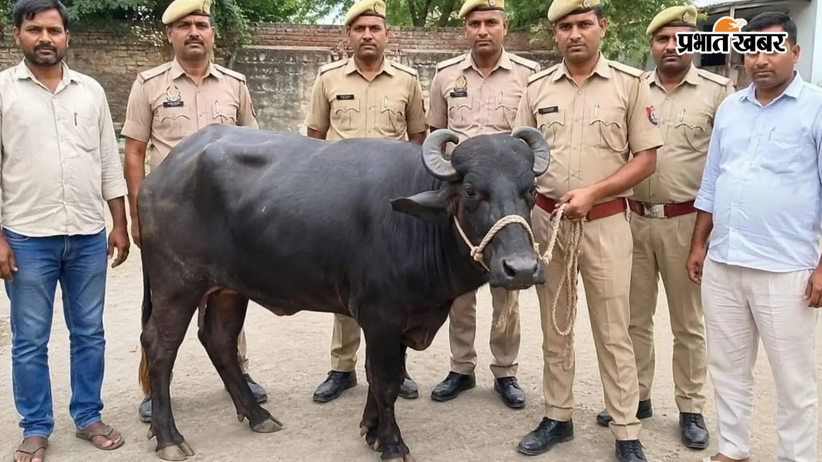 सांकेतिक तस्वीर सांकेतिक तस्वीर