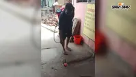 मोहनिया में मच्छरों के बढ़ते प्रकोप पर नगर पंचायत सख्त, सभी वार्डों में शुरू हुई फॉगिंग
