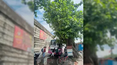ओवरब्रिज के पास गड्ढे और जर्जर बरगद के पेड़ से बना खतरा, हादसे की आशंका बढ़ी