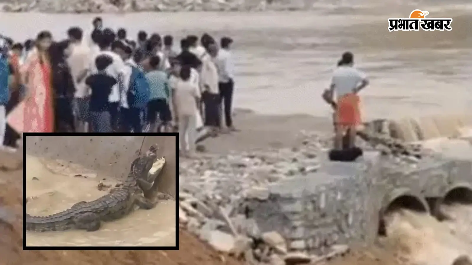 शारदा-घाघरा नदी का रौद्र रूप, सड़कों तक पहुंचे मगरमच्छ शारदा-घाघरा नदी का रौद्र रूप, सड़कों तक पहुंचे मगरमच्छ