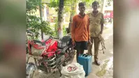 सीवान में चोरी की बाइक और 37 लीटर देसी शराब के साथ युवक गिरफ्तार