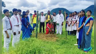 डीएबी पब्लिक स्कूल बरलंगा में पौधारोपण, पर्यावरण संरक्षण का लिया संकल्प