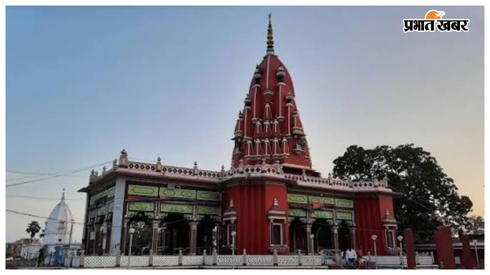 श्यामा मंदिर में बंदर ने दर्जन भर लोगों को काटा श्यामा मंदिर में बंदर ने दर्जन भर लोगों को काटा