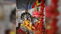 मंदार के अष्टकमल मंदिर में उमड़ी श्रद्धालुओं की भीड़, भगवान विष्णु-लक्ष्मी की पूजा से गूंजा पापहारिणी सरोवर