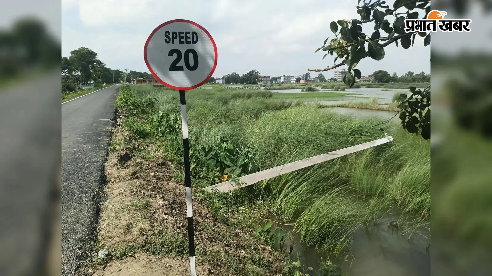 नई मिट्टी पर गाड़े गये बिजली के पोल गिरे, कृषि फीडर की बिजली आपूर्ति ठप नई मिट्टी पर गाड़े गये बिजली के पोल गिरे, कृषि फीडर की बिजली आपूर्ति ठप