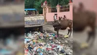 सारण में सावन से पहले बदहाल शिवालयों के रास्ते, जलजमाव और कचरे से श्रद्धालुओं की बढ़ी चिंता