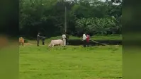 सेना स्टेशन के प्रस्तावित क्षेत्र में 86.89 एकड़ जमीन की खरीद-बिक्री चर्चा में