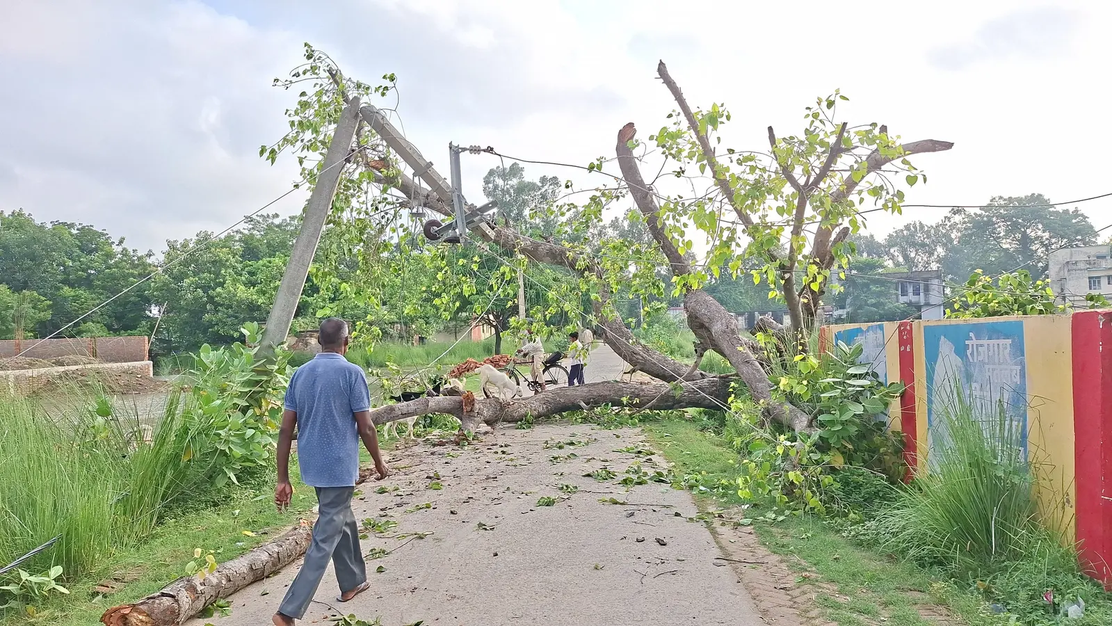 सड़क पर पेड़ गिरने से यातायात बाधित | Prabhat Khabar Network सड़क पर पेड़ गिरने से यातायात बाधित | Prabhat Khabar Network