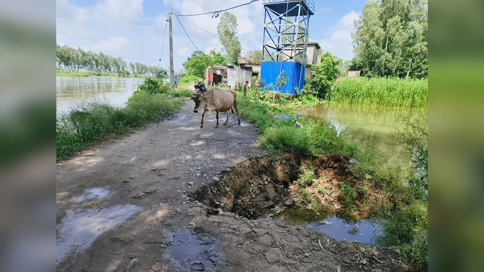 फोटो :- बारसोई के मथुरापुर गांव में महानंदा नदी के कटाव से क्षतिग्रस्त हुई मुख्य सड़क. | Prabhat Khabar Network फोटो :- बारसोई के मथुरापुर गांव में महानंदा नदी के कटाव से क्षतिग्रस्त हुई मुख्य सड़क. | Prabhat Khabar Network