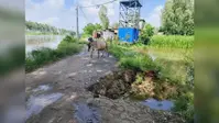 महानंदा नदी के कटाव से मथुरापुर की मुख्य सड़क ध्वस्त, दो वार्डों का संपर्क टूटने का खतरा