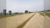 गया जी : धान रोपनी के बीच गुरुआ के किसान परेशान, उत्तर कोयल नहर में अब तक नहीं पहुंचा पानी
