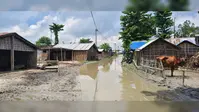 शेखपुर चमन मार्ग पर एक फीट पानी से आवागमन ठप, ग्रामीणों ने जलनिकासी की उठाई मांग