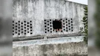 गिद्धौर में करोड़ों की स्वच्छता योजना दम तोड़ रही, डंपिंग यार्ड बदहाल और ई-रिक्शा जंग खा रहे