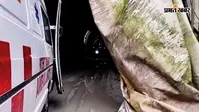 सिक्किम सुरंग हादसा : बंगाल और झारखंड के श्रमिकों समेत कुल 22 की मौत, पीएम मोदी ने किया मुआवजे का ऐलान