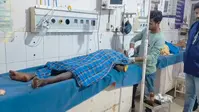 जमुई में तेज रफ्तार पिकअप ने सड़क किनारे बैठे चार लोगों को रौंदा, महिला की मौत, तीन गंभीर