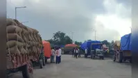 पूर्णिया मंडी में मक्का की तेजी पर ब्रेक, दो दिन से स्थिर हैं भाव