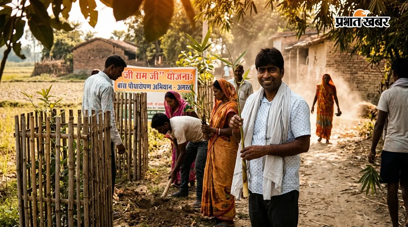 अगस्त में बड़े पैमाने पर लगेंगे बांस,पौधों की सुरक्षा के लिए ट्री गार्ड अगस्त में बड़े पैमाने पर लगेंगे बांस,पौधों की सुरक्षा के लिए ट्री गार्ड