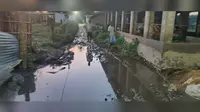 रास्ता के अभाव में नारकीय जीवन जी रहे रासो टोला के लोग,कादो कीचड़ हाेकर होता है आवागमन