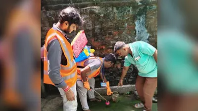 पाकुड़ में डेंगू सर्वे में 728 कंटेनरों की हुई जांच, 64 में मिला एडीज मच्छर का लार्वा
