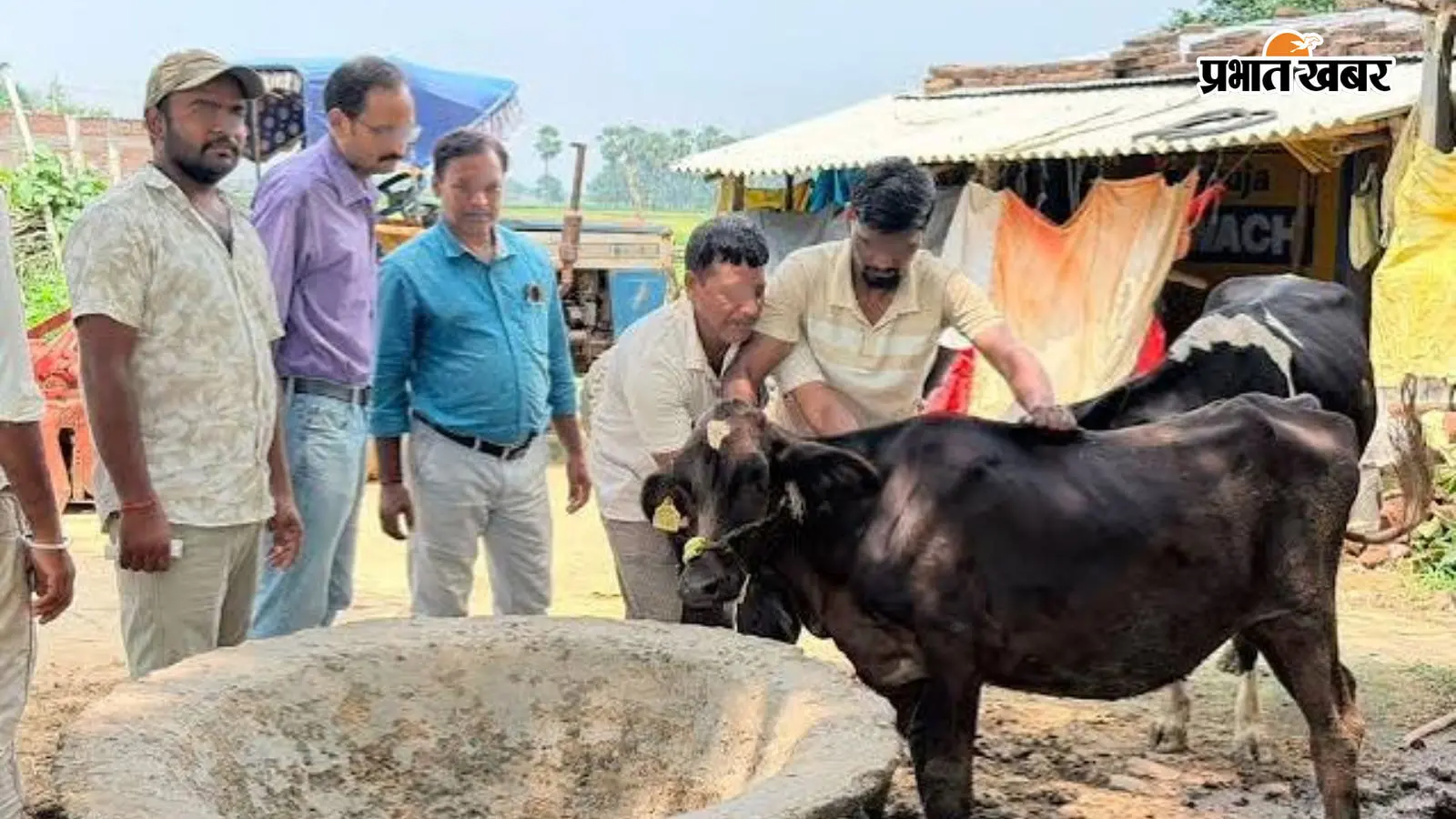 सांकेतिक तस्वीर सांकेतिक तस्वीर
