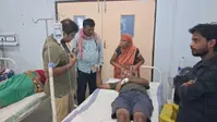 गोपालगंज: बगीचे में काम कर रहे युवक को विषैले सांप ने डसा, सदर अस्पताल में 20 वायल ASV देकर शुरू हुआ इलाज