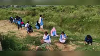 सरकरी नदी किनारे विद्यार्थियों ने बोए 5 हजार से अधिक बीज, पर्यावरण संरक्षण की अनोखी पहल