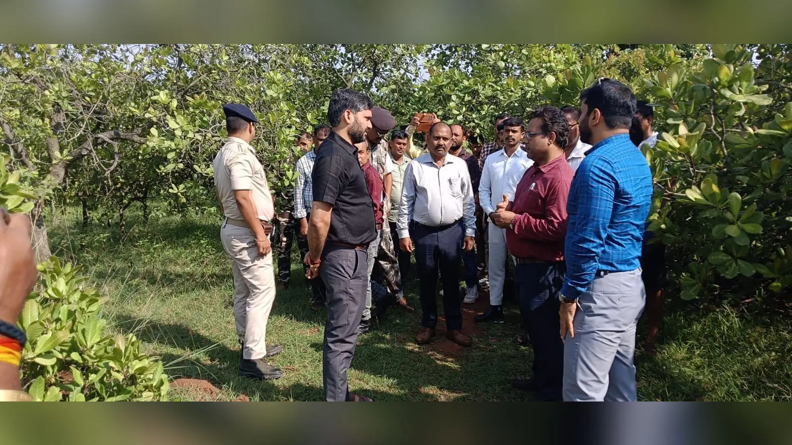 09 काजू बागान का निरीक्षण करते उपायुक्त | Prabhat Khabar Network 09 काजू बागान का निरीक्षण करते उपायुक्त | Prabhat Khabar Network